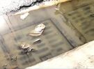 Fuga de aguas negras en Desamparados