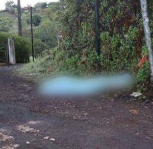Homicidio en Coronado fue en 2025. (OIJ)