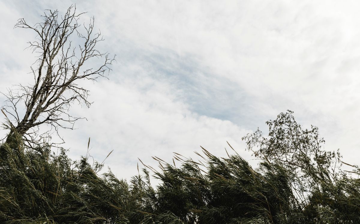 Zona de Convergencia Intertropical provocará lluvias y tormentas en varias regiones del país este jueves.