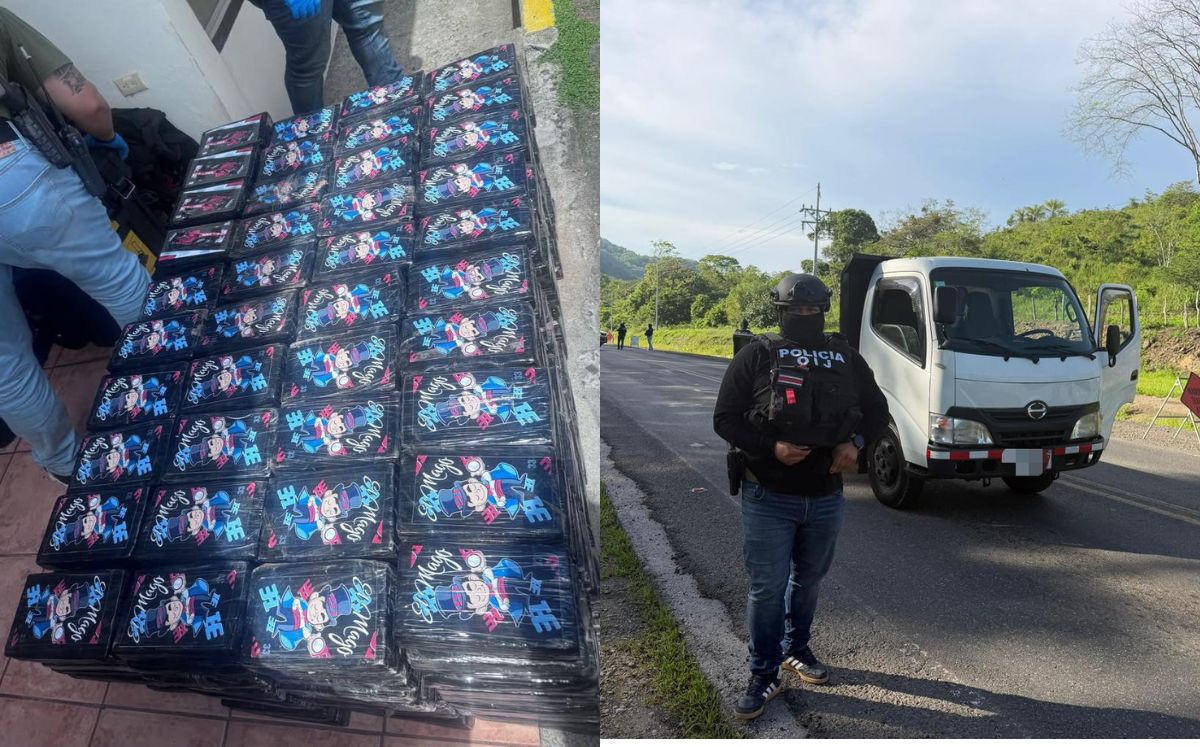 Droga decomisada por los agentes judiciales. (OIJ)