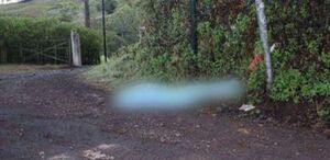 Homicidio en Coronado fue en 2025. (OIJ)