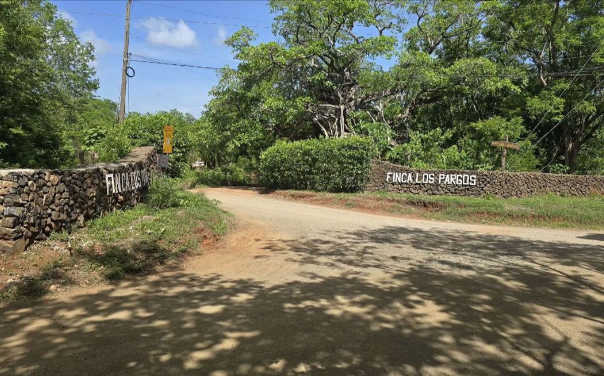 Asesinan a mujer alemana dentro de una finca en Santa Cruz