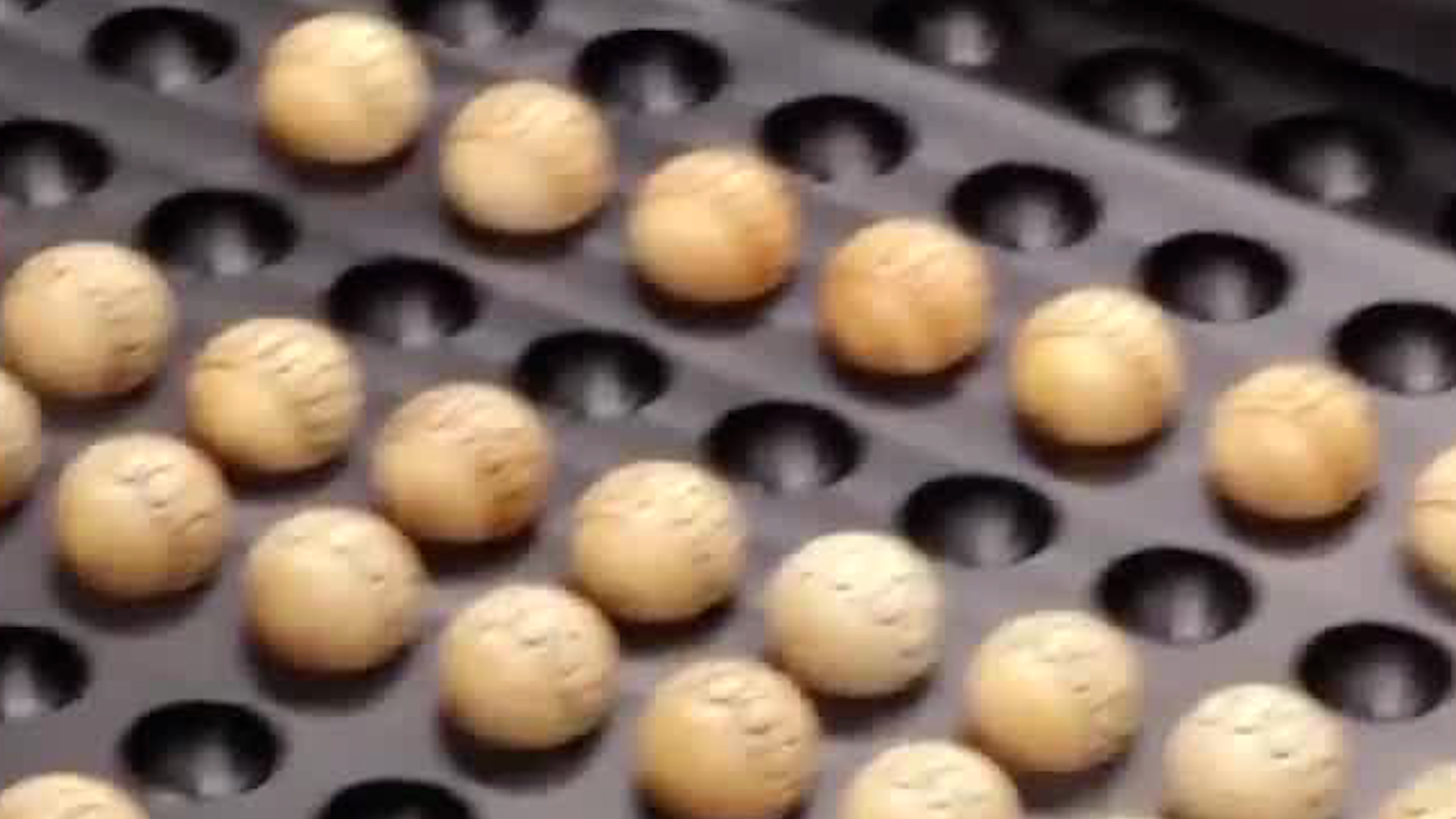 JPS revisa 1.250 bolitas del Gordito de medio año
