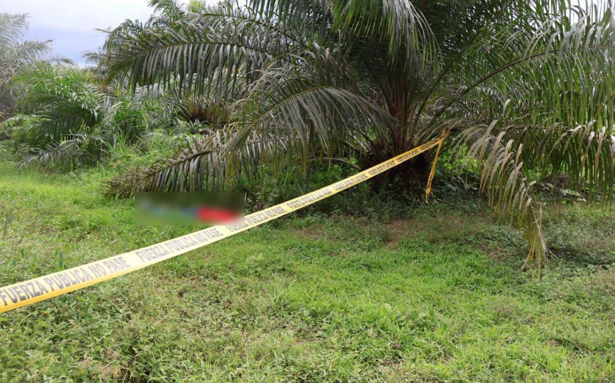 El homicidio ocurrió en enero de 2026. (OIJ)