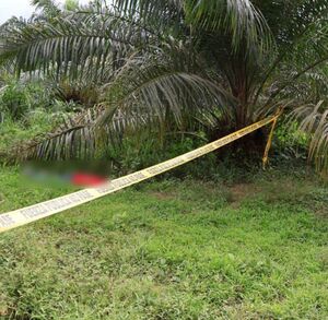 El homicidio ocurrió en enero de 2026. (OIJ)