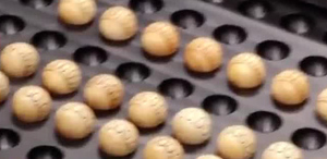 JPS revisa 1.250 bolitas del Gordito de medio año