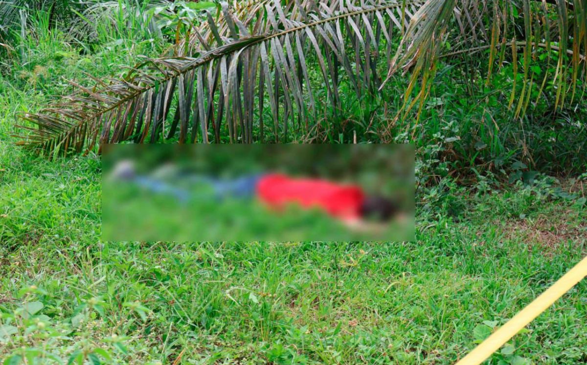 Víctima de homicidio. (OIJ)
