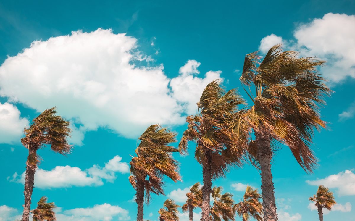 Vientos alisios acelerados y lluvias aisladas marcarán las condiciones del tiempo este miércoles.
