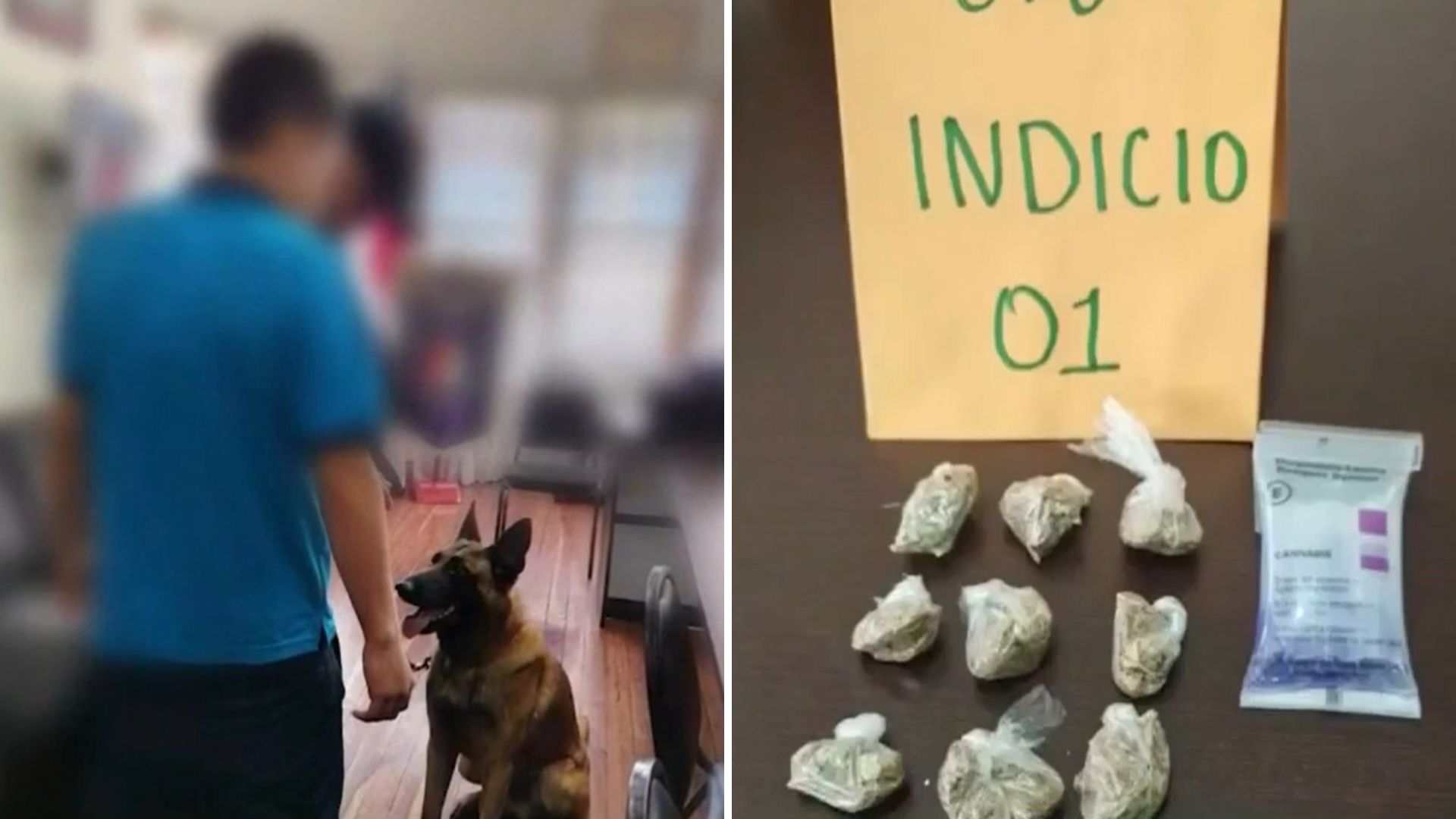 Autoridades localizan droga en centro educativo