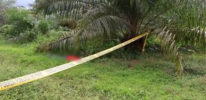El homicidio ocurrió en enero de 2026. (OIJ)
