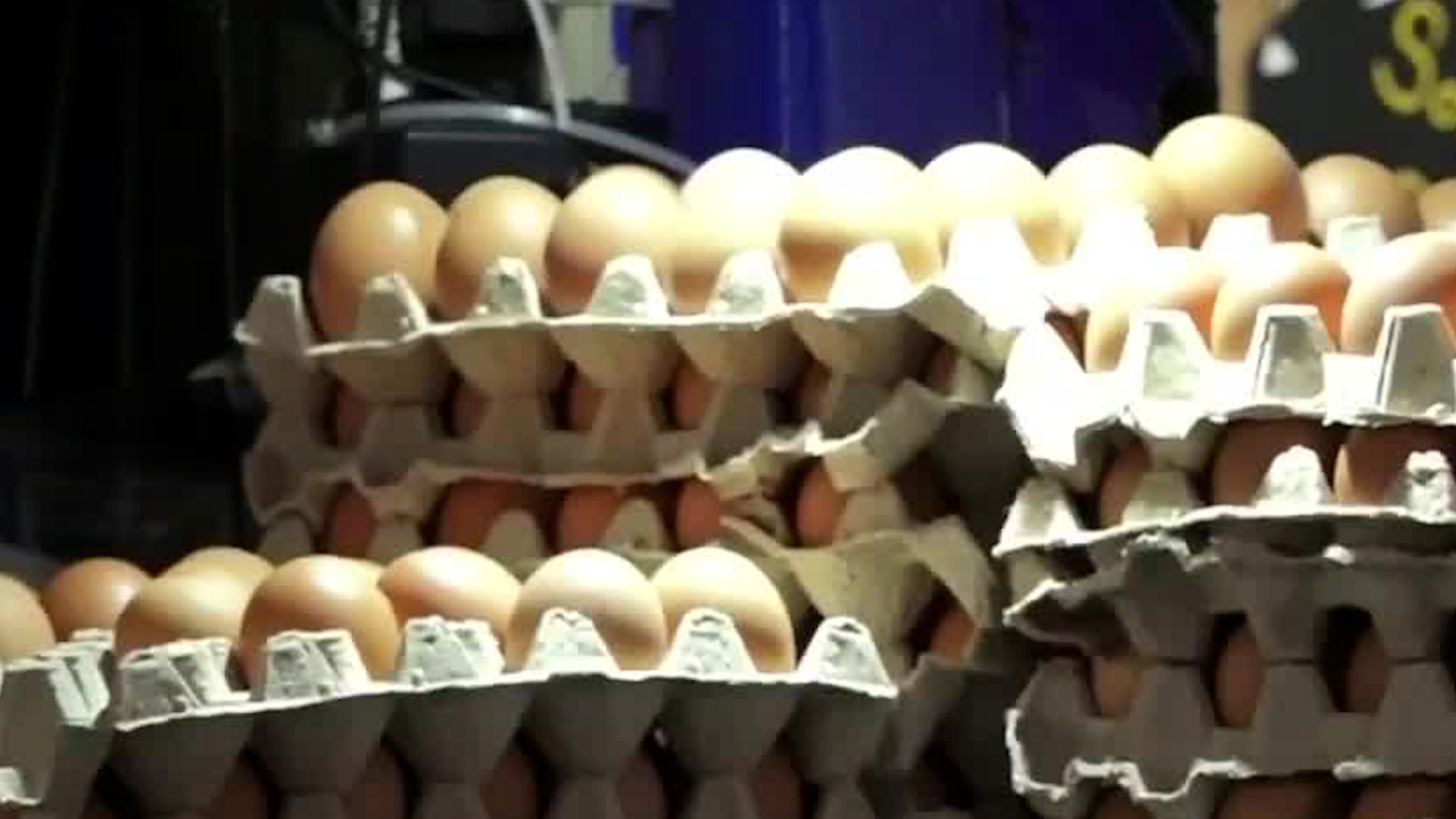 Precio del huevo subió 175 colones por kilo