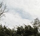 Vientos de hasta 90 km/h marcarán las condiciones del tiempo este martes.
