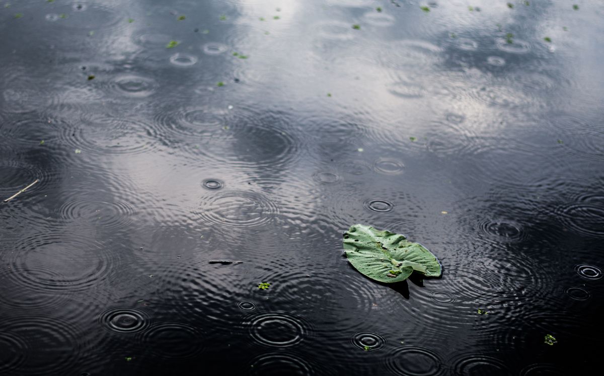 Fuertes vientos y lluvias marcarán las condiciones del tiempo este miércoles.