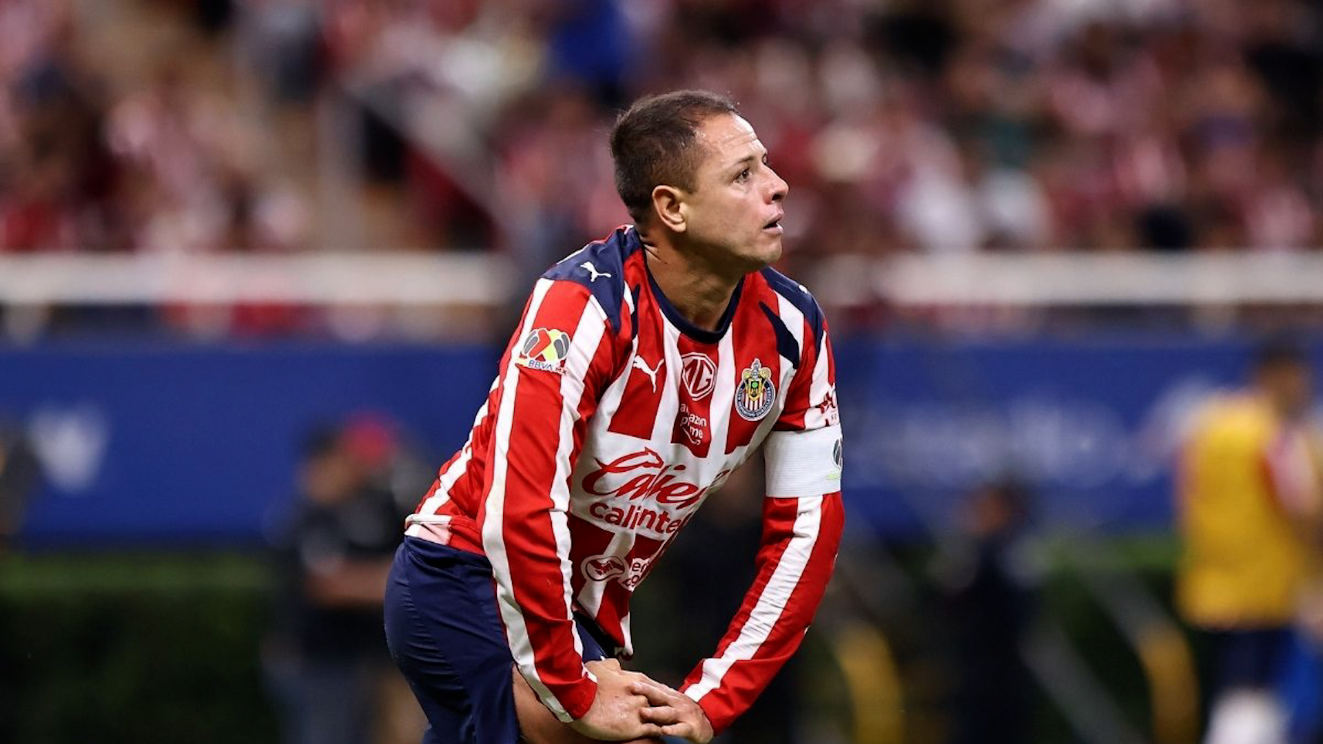 Javier Hernández: un depredador del área