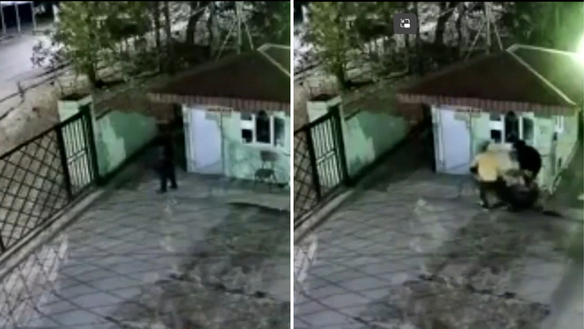 Guarda de seguridad es asesinado en Guápiles | VIDEO