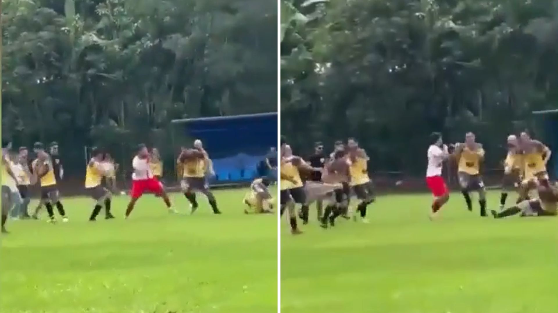 Video muestra pelea durante partido de veteranos