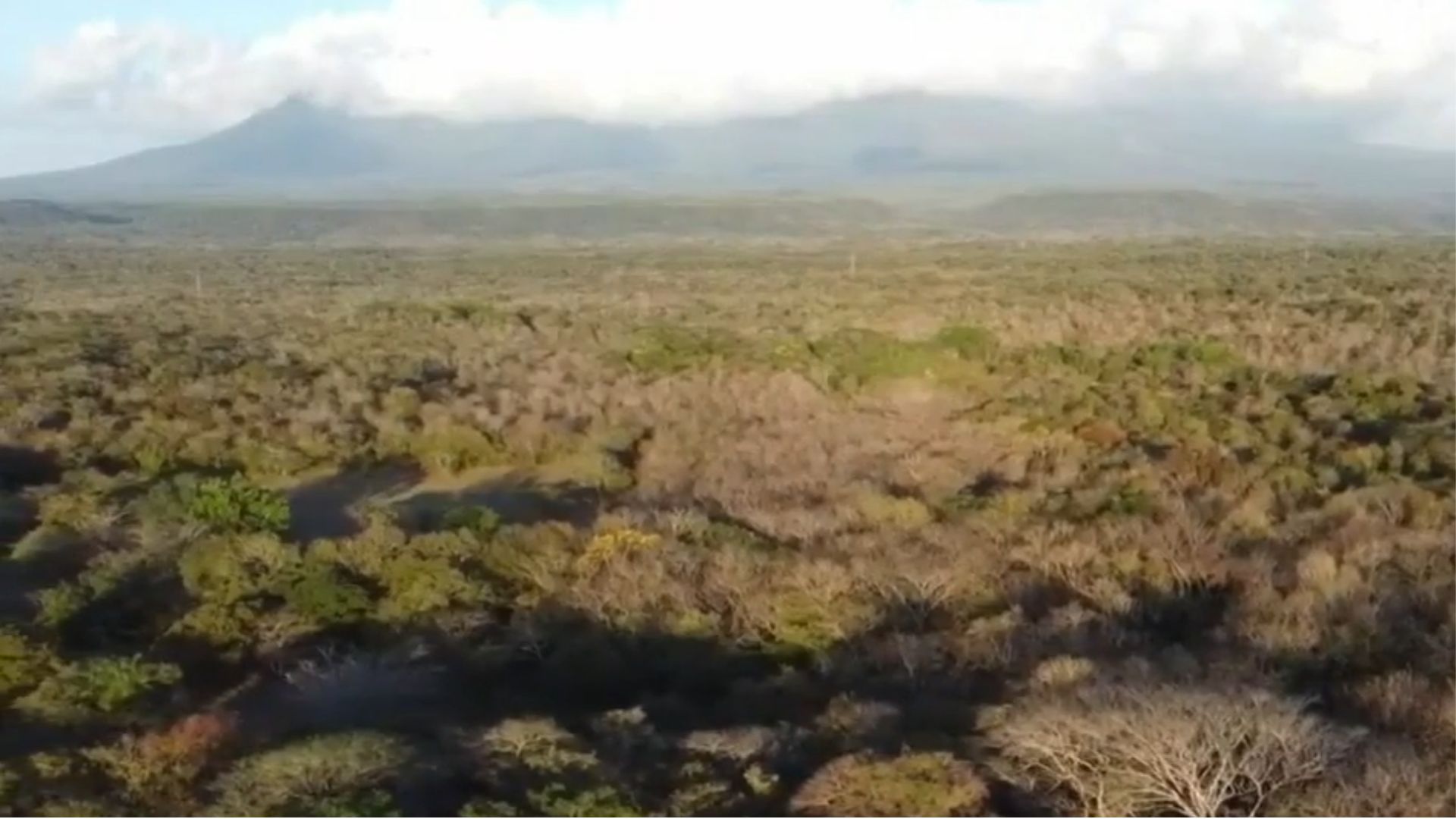 ‘El Niño’ podría repetir la crisis ambiental de 2015 en Guanacaste