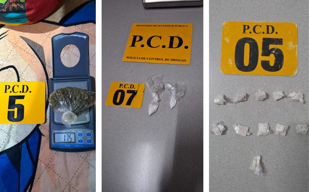 Decomisos realizados por agentes de la PCD. (MPS)