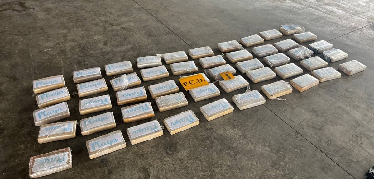 Decomisan 50 paquetes de cocaína en Moín