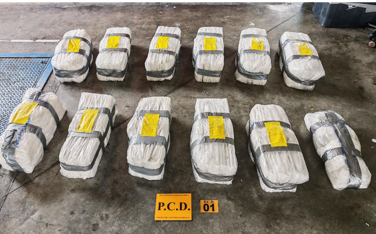 Decomisan 50 kilos de cocaína en Moín
