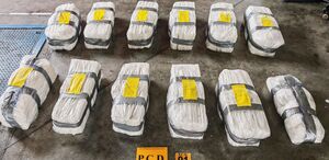 Decomisan 50 kilos de cocaína en Moín