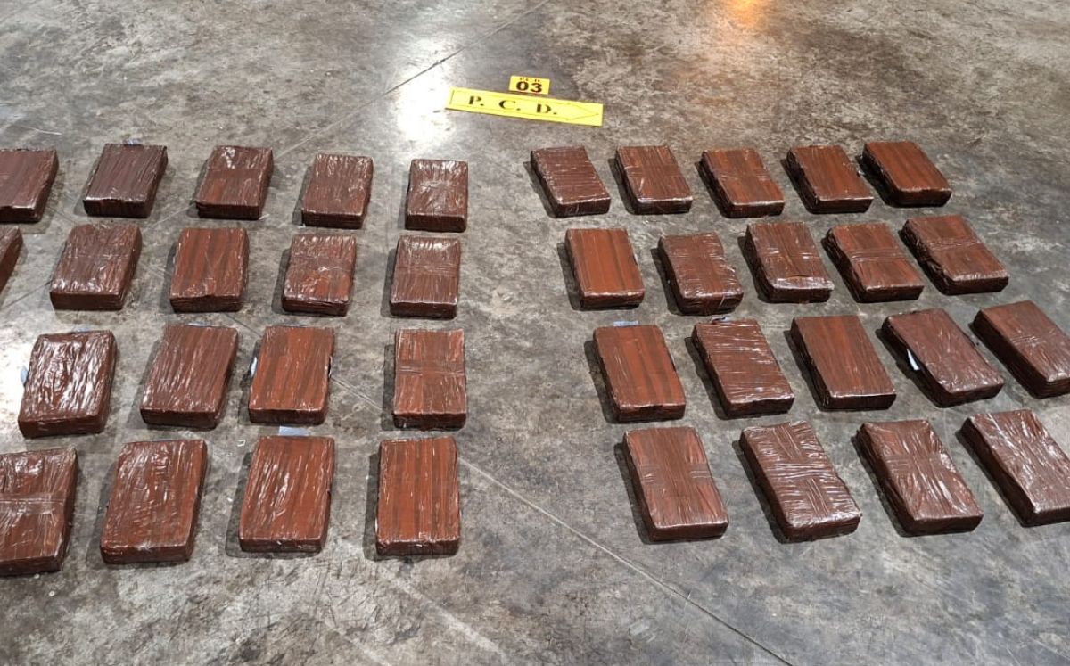 PCD decomisa 256 kilos de cocaína y detiene a 8 en Moín