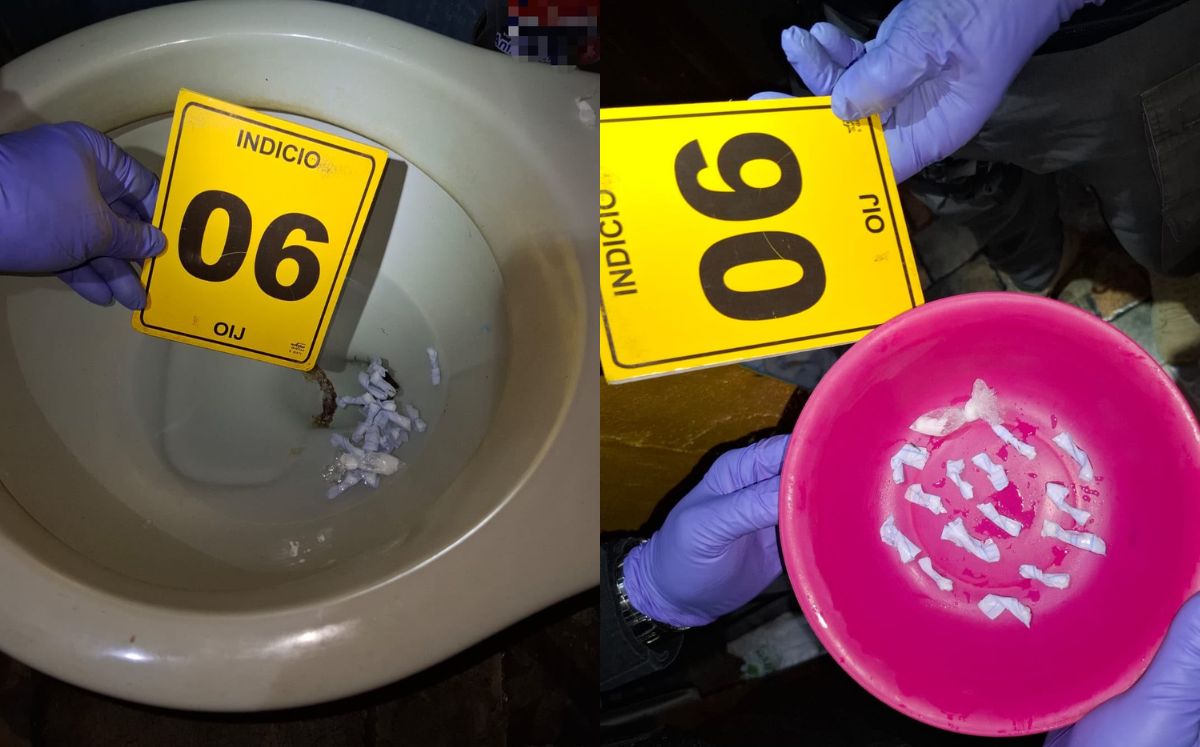Evidencia decomisada por los agentes judiciales. (OIJ)
