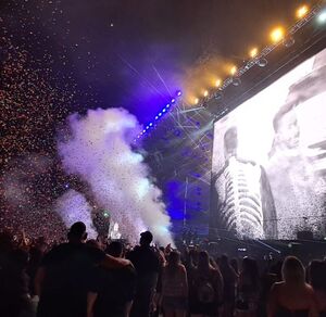 Ticos cantaron y bailaron al ritmo de Romeo Santos y Prince Royce.
