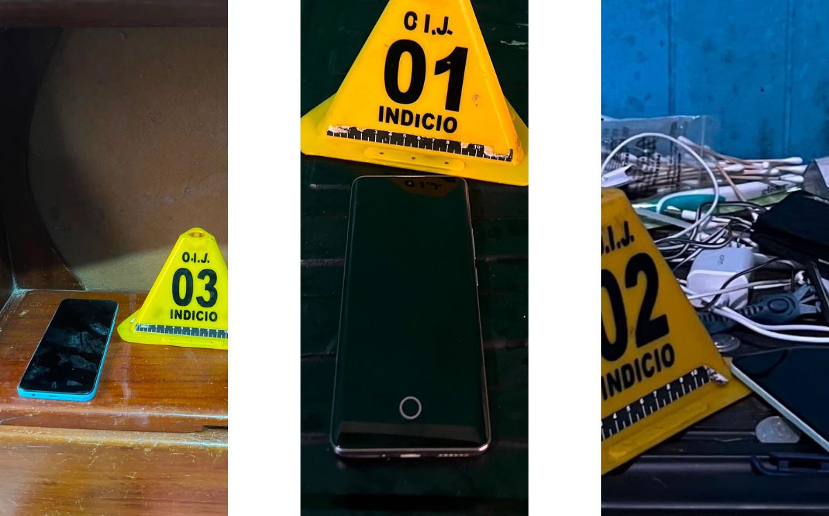 Evidencia decomisada por los agentes judiciales. (OIJ)