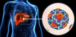 Salud pide reforzar higiene ante casos de hepatitis A
