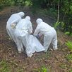 OIJ localiza cuerpo de hombre desaparecido. (OIJ)