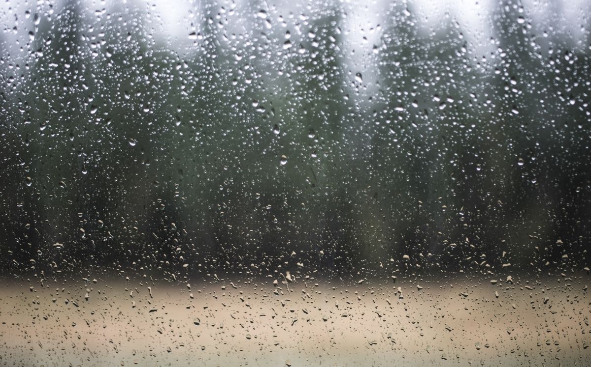 Viento y humedad favorecerán lluvias variables en Costa Rica durante este viernes.