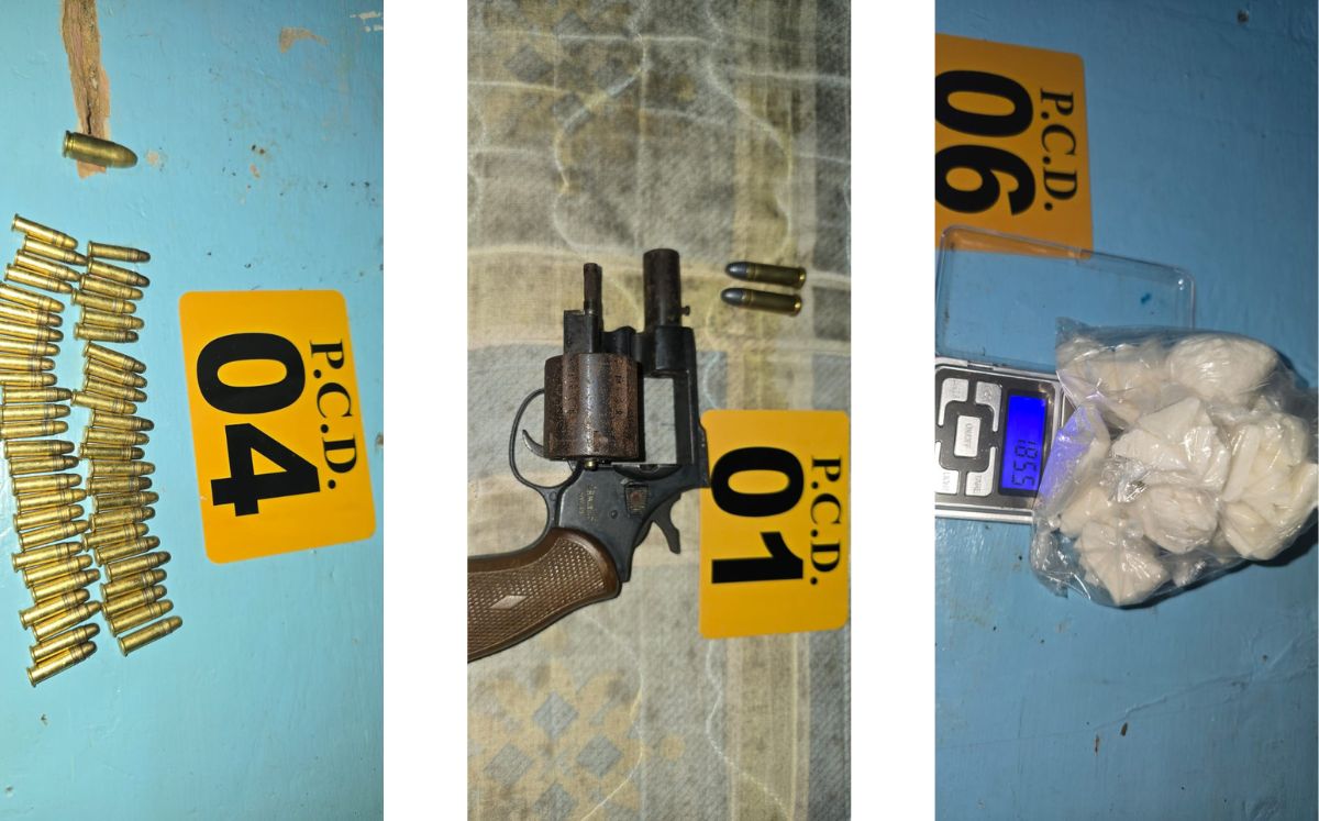 Decomisos realizados por los agentes. (MSP)