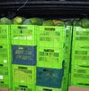 SFE decomisa 12.700 kilos de papaya de contrabando en Paso Canoas