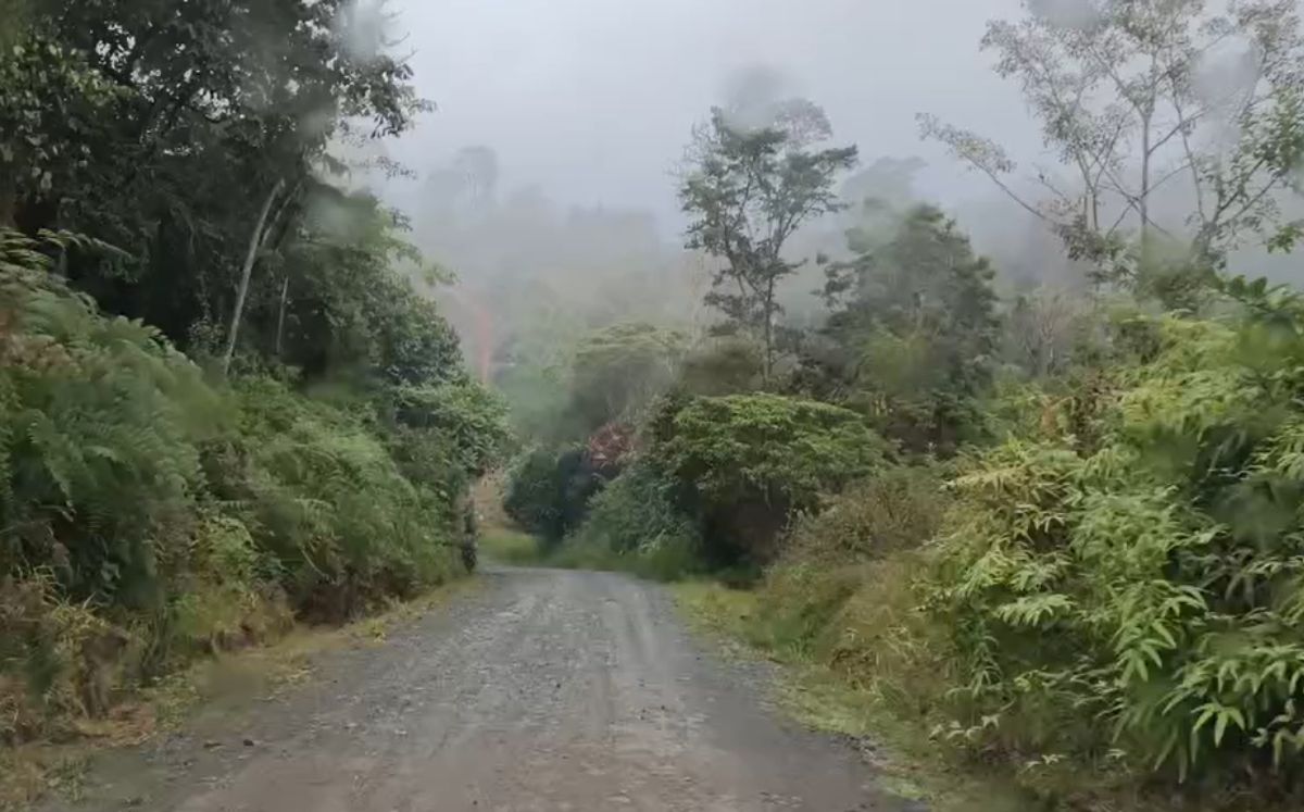 Localizan sin vida a joven desaparecido en Turrialba