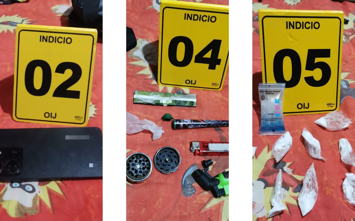 Evidencia decomisada por los agentes judiciales. (OIJ)