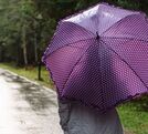Lluvias y tormentas eléctricas continuarán este miércoles en varias regiones del país.