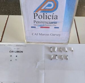 Droga decomisada por las autoridades. (Policía Penitenciaria)