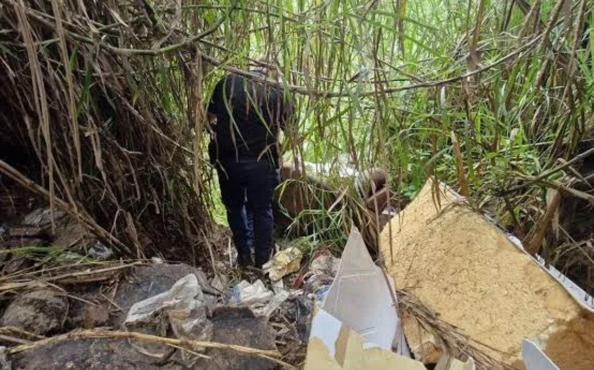 Bebé encontrado en Hatillo ya tiene familia adoptiva