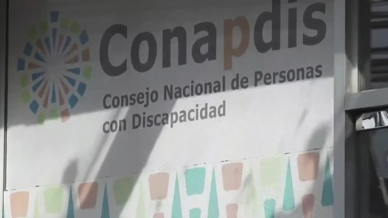 Conapdis enfrentaría recorte de ₡11 mil millones