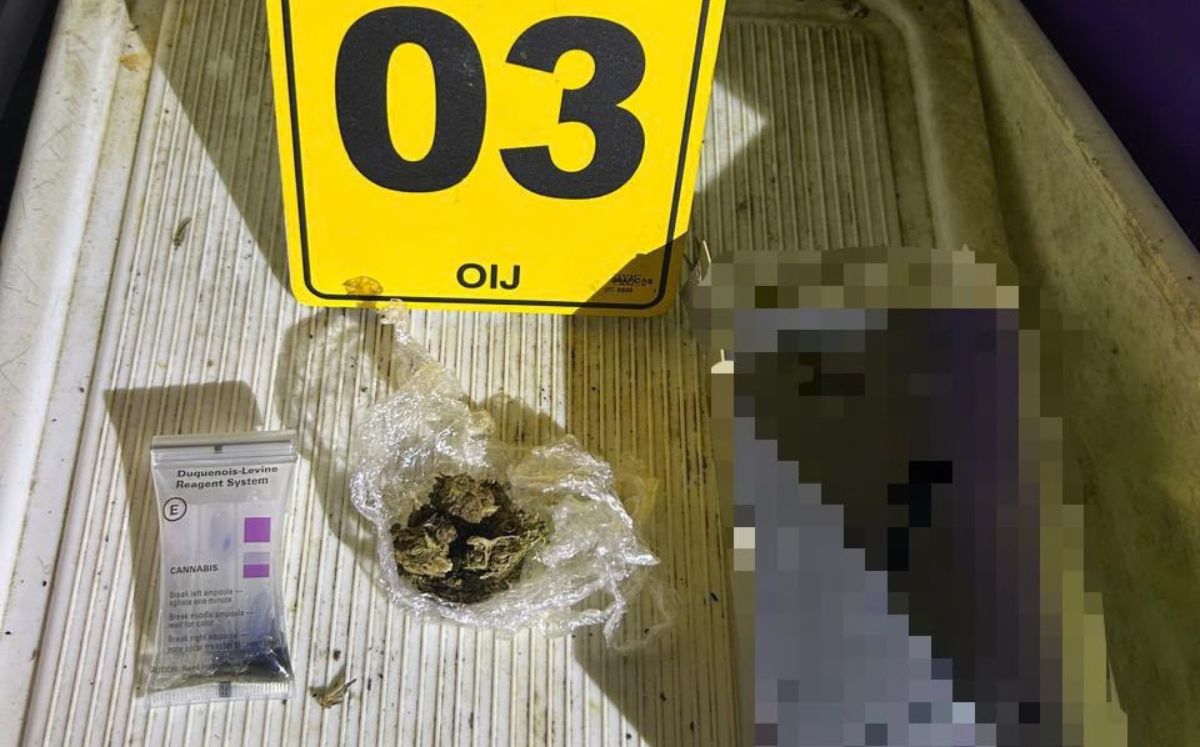 Evidencia decomisada por las autoridades. (OIJ)