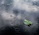 Lluvias y aguaceros con tormenta se esperan este martes en varias regiones del país.