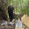 Bebé encontrado en Hatillo ya tiene familia adoptiva