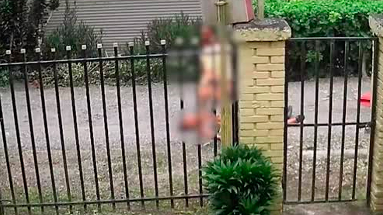 Adulta mayor queda delicada tras brutal ataque con machete