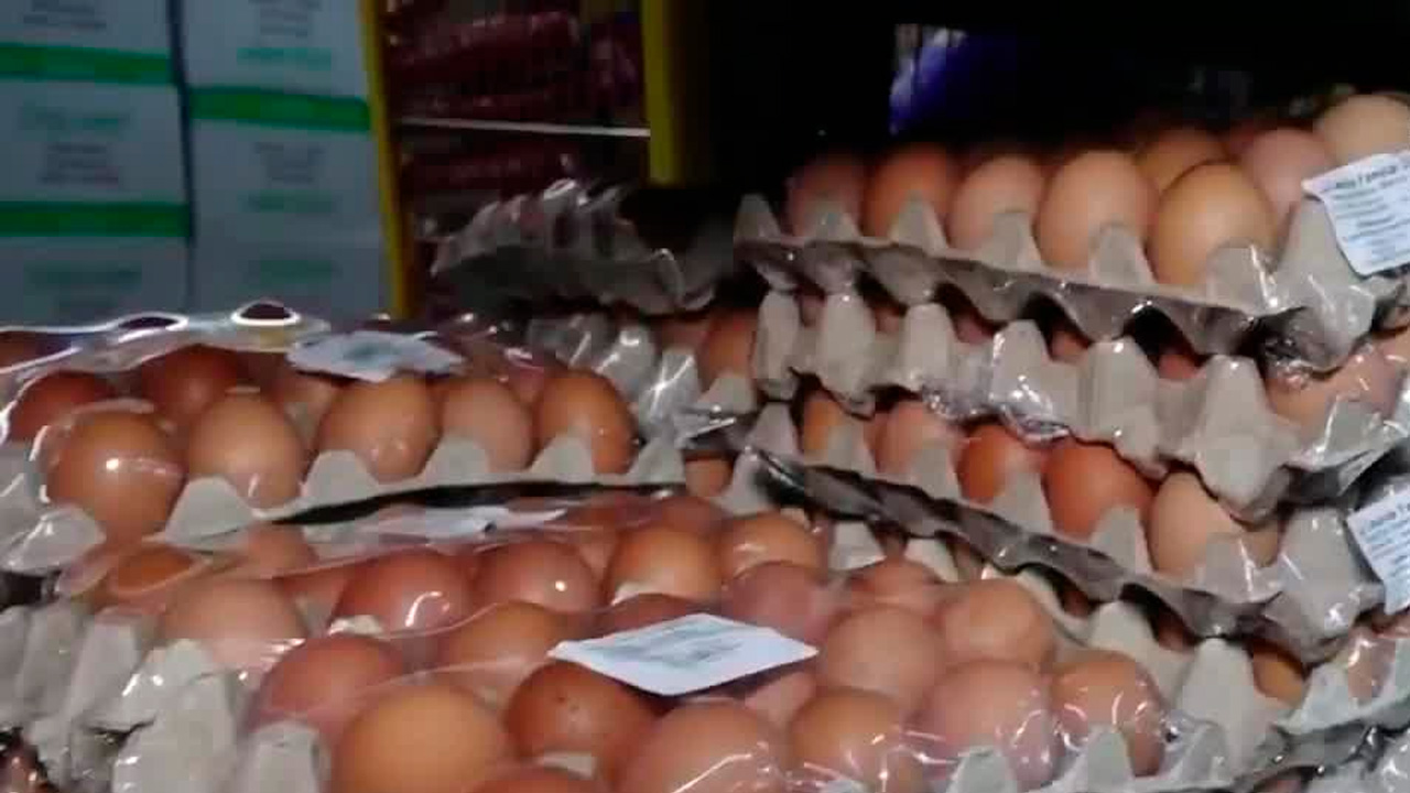 Decomisan 5.000 kilos de huevos en mal estado en Cartago