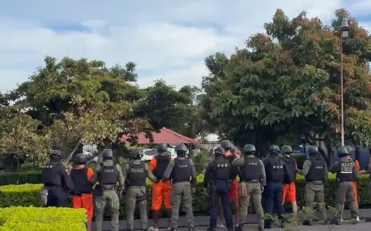 Fueron trasladados desde La Reforma hasta Base 2 del Aeropuerto Juan Santamaría.