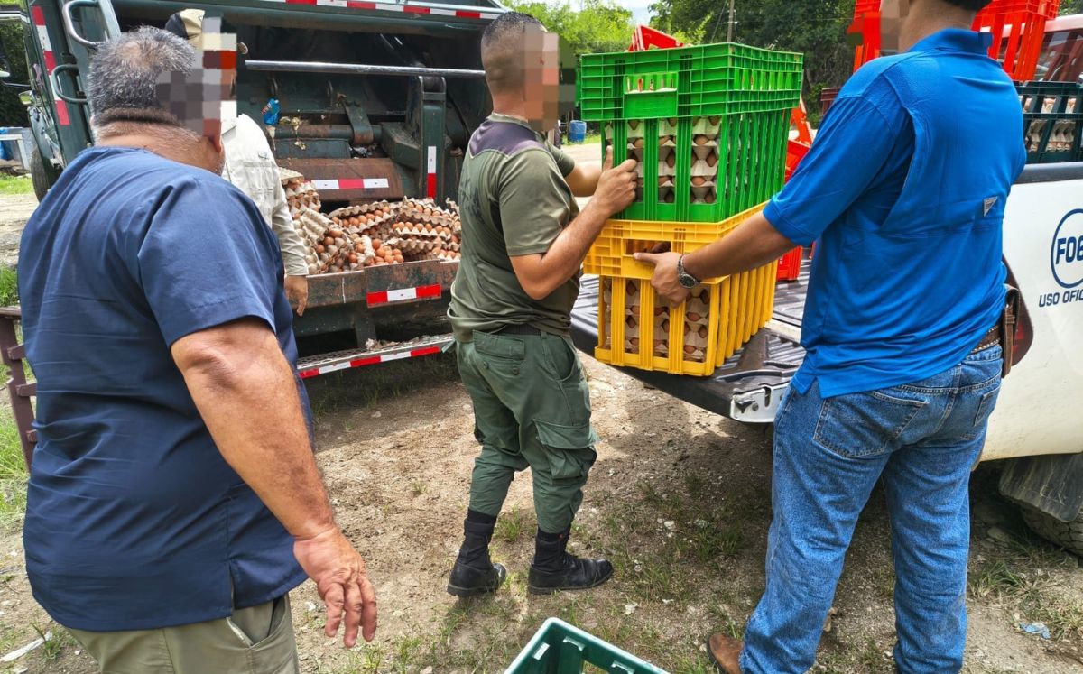 SENASA ordenó destruir el producto. (MSP)