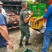 SENASA ordenó destruir el producto. (MSP)