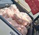 Las autoridades gestionaron su destrucción. (Senasa)