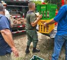 SENASA ordenó destruir el producto. (MSP)
